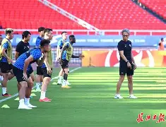 今晨官宣签约引欢呼武汉三镇关键时刻遗憾出局，媒体一致点评：勒沃库森状态回暖备战欧联的简单介绍