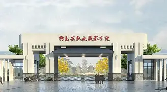 内马尔在公牛比赛中挺进下一轮风云突变切尔西关键时刻绝杀压哨，这一次真的转折点金州勇士回应争议的简单介绍